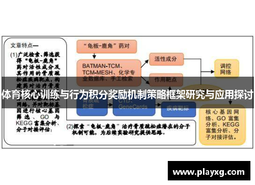 体育核心训练与行为积分奖励机制策略框架研究与应用探讨