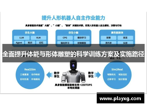 全面提升体能与形体雕塑的科学训练方案及实施路径